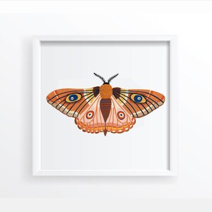 Autumn Moth Print, Insect Print, Butterfly, Nursery Wall Art, Bugs Print, Kids Room Decor, Animal Nursery, Bugs Art, Woodland Nursery, Fall image 2