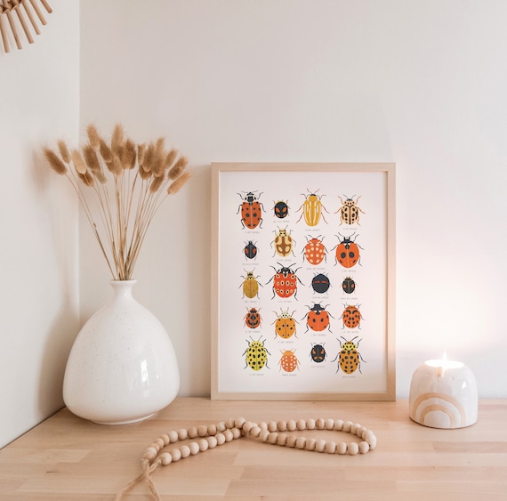 Ladybird Identification Print, Ladybug, Natural History Poster