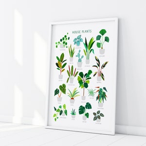 House Plants, Botanical Print, Plant poster, Indoor Plant, Bathroom Wall decor, Plant Lady, Plant lover gift, Home Decor, Illustration image 5