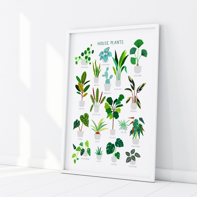 House Plants, Botanical Print, Plant poster, Indoor Plant, Bathroom Wall decor, Plant Lady, Plant lover gift, Home Decor, Illustration image 5