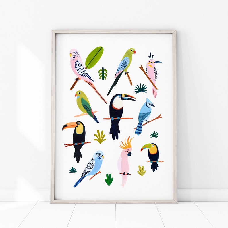 Tropical Bird Wall Art, Bird Species Art Print, Nursery Wall Art, Parrot, Budgie, Toucan, Nursery Decor, Kids Room Decor, Animal Wall Art image 5