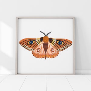 Autumn Moth Print, Insect Print, Butterfly, Nursery Wall Art, Bugs Print, Kids Room Decor, Animal Nursery, Bugs Art, Woodland Nursery, Fall image 6