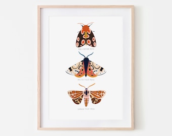 Moth Trio Print, Insect Print, Nursery Wall Art, Bugs Print, Kids Room Decor, Animal Nursery, Bugs Art, Woodland Nursery, Gallery Wall