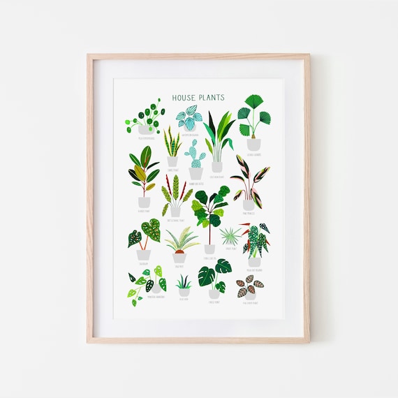 House Plants, Botanical Print, Plant poster, Indoor Plant, Bathroom Wall decor, Plant Lady, Plant lover gift, Home Decor, Illustration