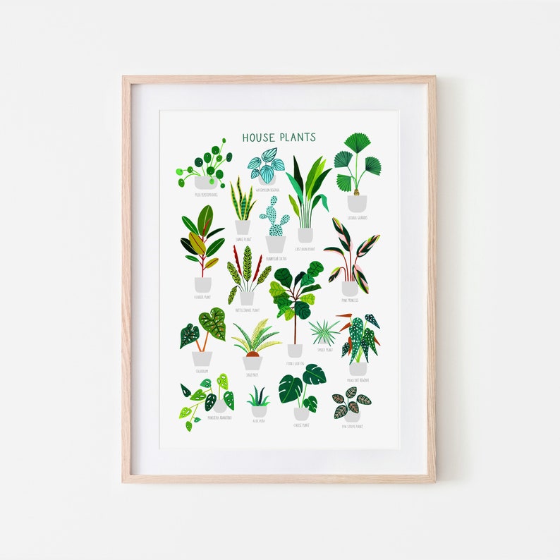 House Plants, Botanical Print, Plant poster, Indoor Plant, Bathroom Wall decor, Plant Lady, Plant lover gift, Home Decor, Illustration image 1