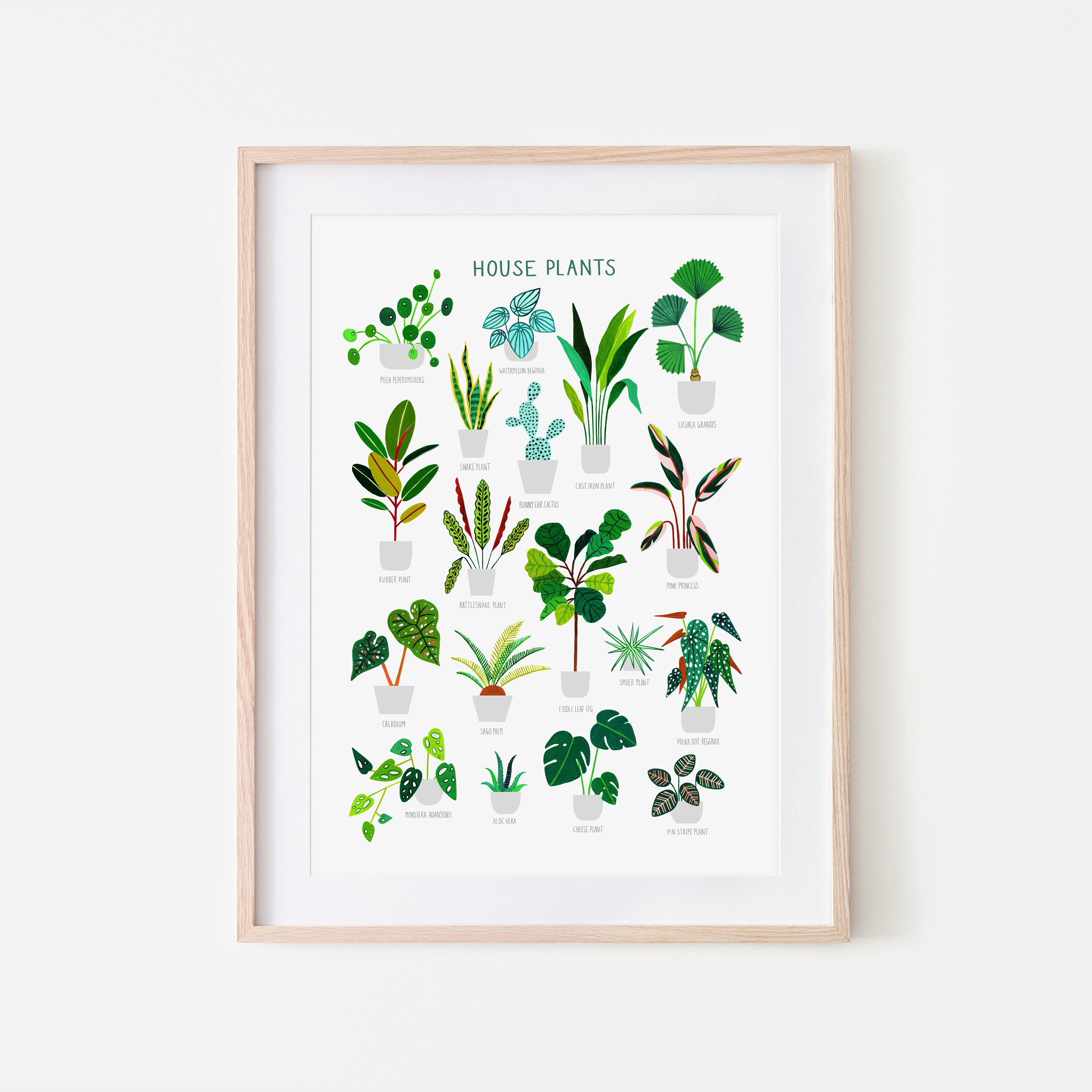 House Plants, Botanical Print, Plant Poster, Indoor Plant, Bathroom ...