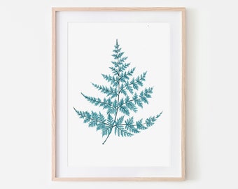 Fern / Botanical Print / Watercolour / Art Print / Wall Art / Botanical Illustration / Home Decor / Dorm Wall Art / Bathroom Wall Art