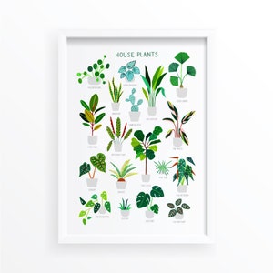 House Plants, Botanical Print, Plant poster, Indoor Plant, Bathroom Wall decor, Plant Lady, Plant lover gift, Home Decor, Illustration image 2