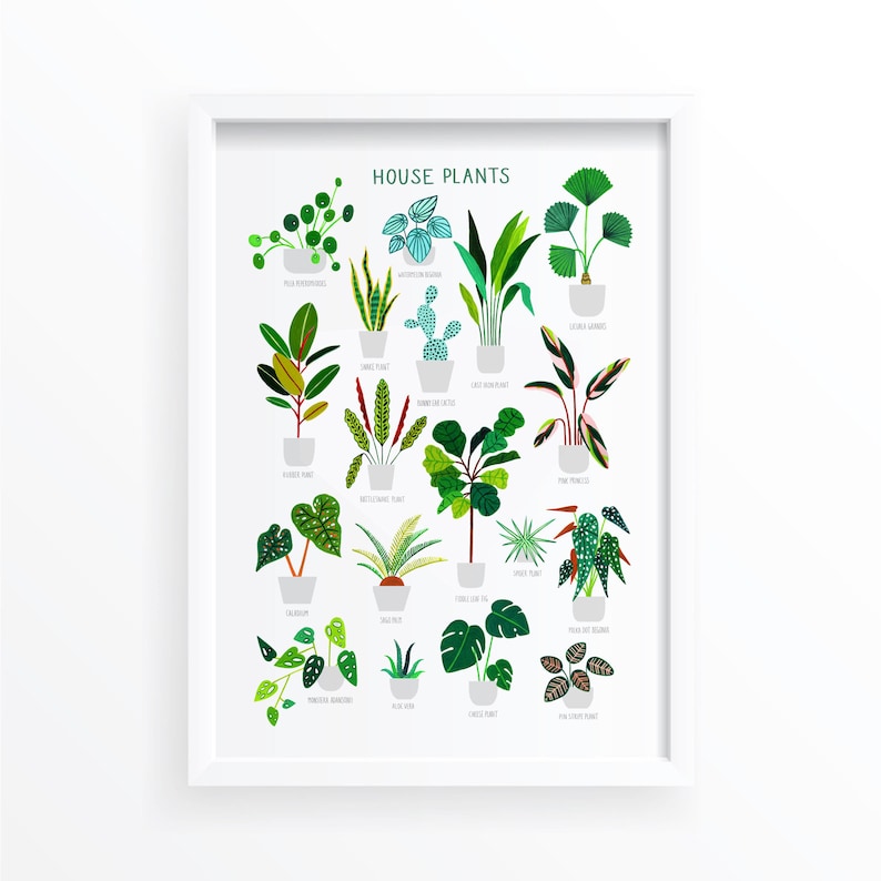 House Plants, Botanical Print, Plant poster, Indoor Plant, Bathroom Wall decor, Plant Lady, Plant lover gift, Home Decor, Illustration image 2