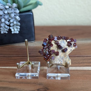 May include: A red and brown mineral specimen on a clear acrylic display stand. The stand has a gold metal base and two prongs to hold the specimen.