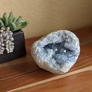 Large Celestine, Celestite Geode - Raw, Natural Display Piece - Madagascar - A1
