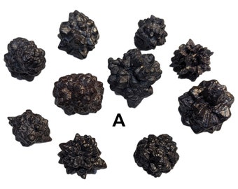 10 pieces - Grade B - Goethite after Marcasite Psuedomorph from the White Desert - Mineral, Crystal Specimen, Prophecy Stone