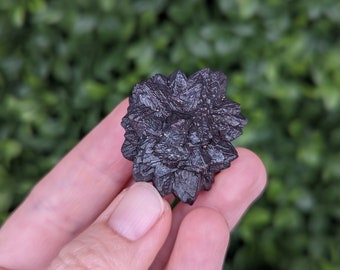 Goethite after Marcasite Psuedomorph from the White Desert - Mineral, Crystal Specimen, Prophecy Stone - C167