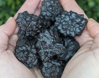 Goethite after Marcasite Psuedomorph from the White Desert - Mineral, Crystal Specimen, Prophecy Stone - Large