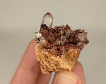 Hematite Phantom in Quartz - Cluster with Inclusions - Mineral Specimen - Raw, Natural Unpolished - K