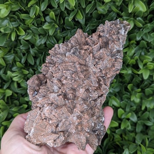 Dogtooth Calcite - Santa Eulalia District, Mexico - Chocolade Calciet - Mineraal Specimen - Rauw, Natuurlijk Ongepolijst