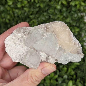 Apophyllite and Stilbite Crystals on Matrix - India