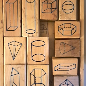 Motivstempel - 3-D-Formen, Schmetterlinge, Lebenszyklus