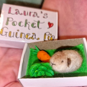 Pocket Guinea pig with polymer clay vegetables