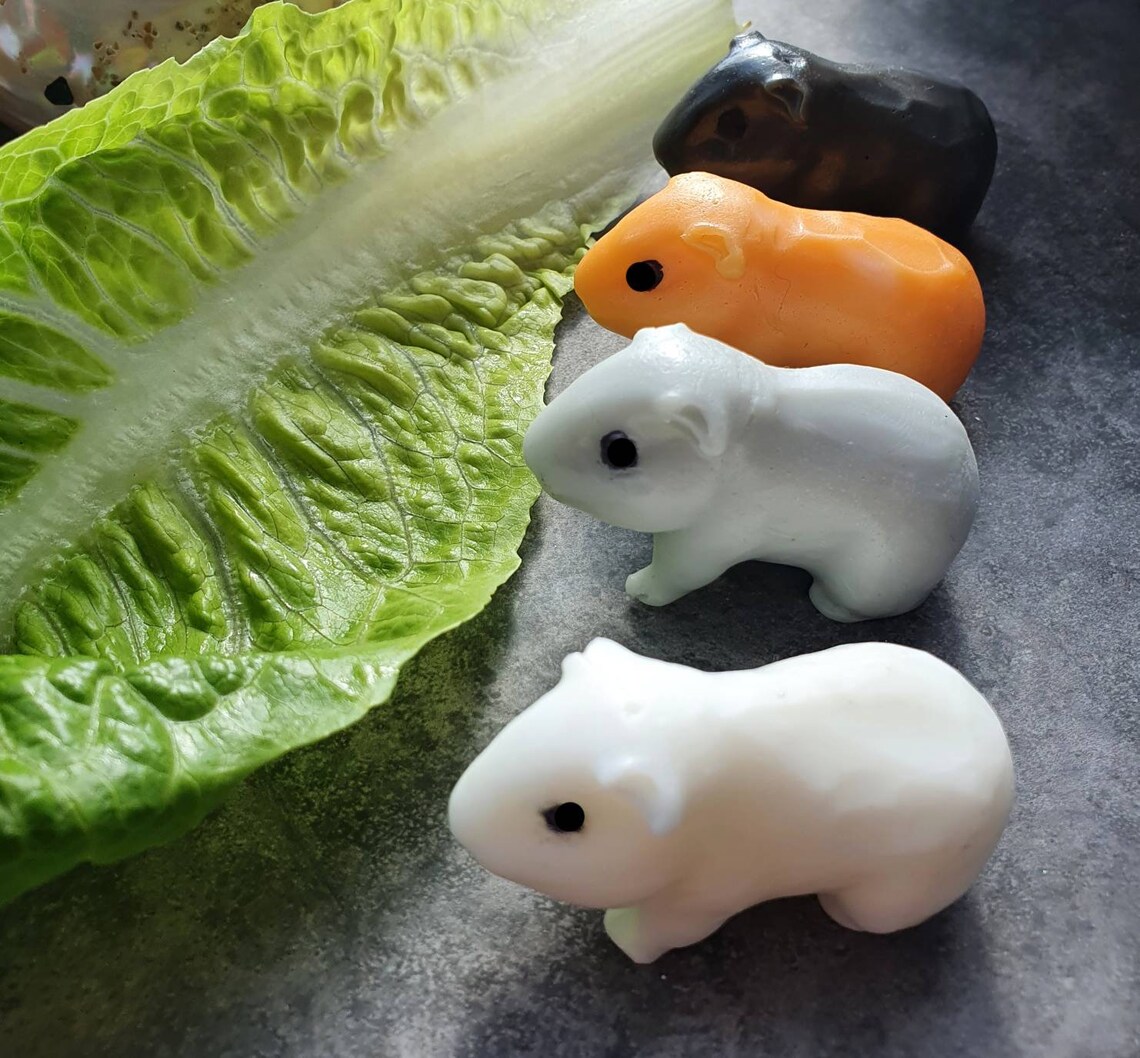 Can I Wash My Guinea Pig With Baby Soap at Tawny Ellis blog