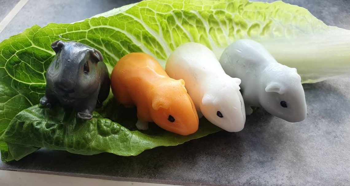 Set of 4 guinea pig soap Etsy