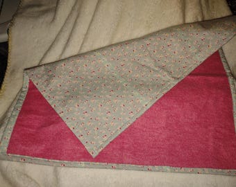 Ferret Blanket #20