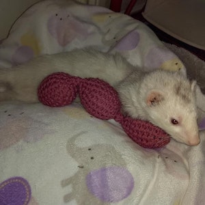 Train Chain Toy 3-Crochet Pink Red White Color Shaky Rattle Egg Pet Ferret Stashing Hauling Fun Toy image 3