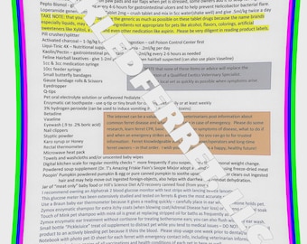 Ferret Medical Kit List Chart Only Digital Download PDF FILE Quick Educational Reference Guide