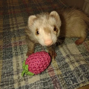 Train Chain Toy 3-Crochet Pink Red White Color Shaky Rattle Egg Pet Ferret Stashing Hauling Fun Toy image 10