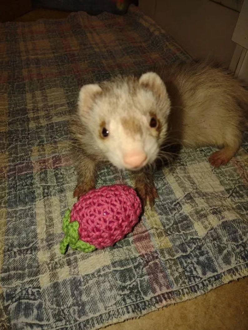 Train Chain Toy 3-Crochet Pink Red White Color Shaky Rattle Egg Pet Ferret Stashing Hauling Fun Toy image 10