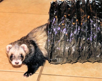 8" x 10' Ferret Frenzy Lightly Tinted Freeway Big Enough to Sleep In -  Fun Run for Zippin' Around Playpen Enrichment Chasing Toy Tunnel