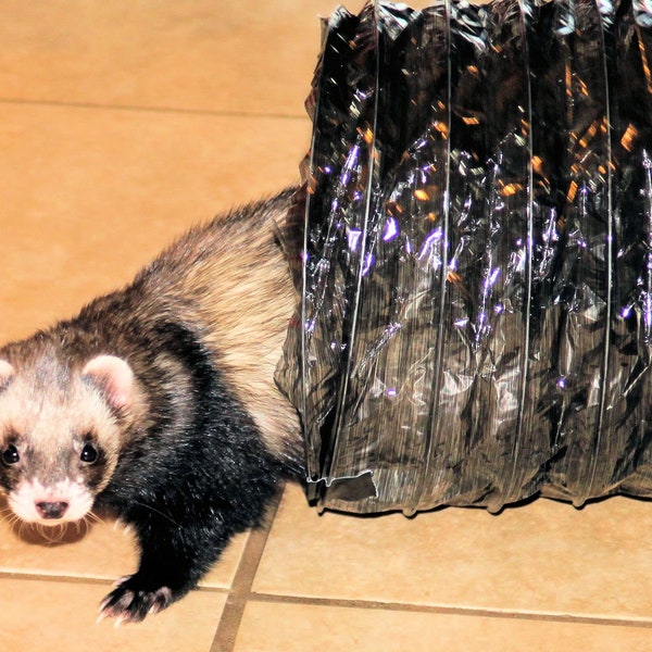 8" x 10' Ferret Frenzy Lightly Tinted Freeway Big Enough to Sleep In -  Fun Run for Zippin' Around Playpen Enrichment Chasing Toy Tunnel