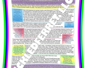 Ferret Emergency Chart Only Digital Download PDF FILE Quick Educational Reference Guide