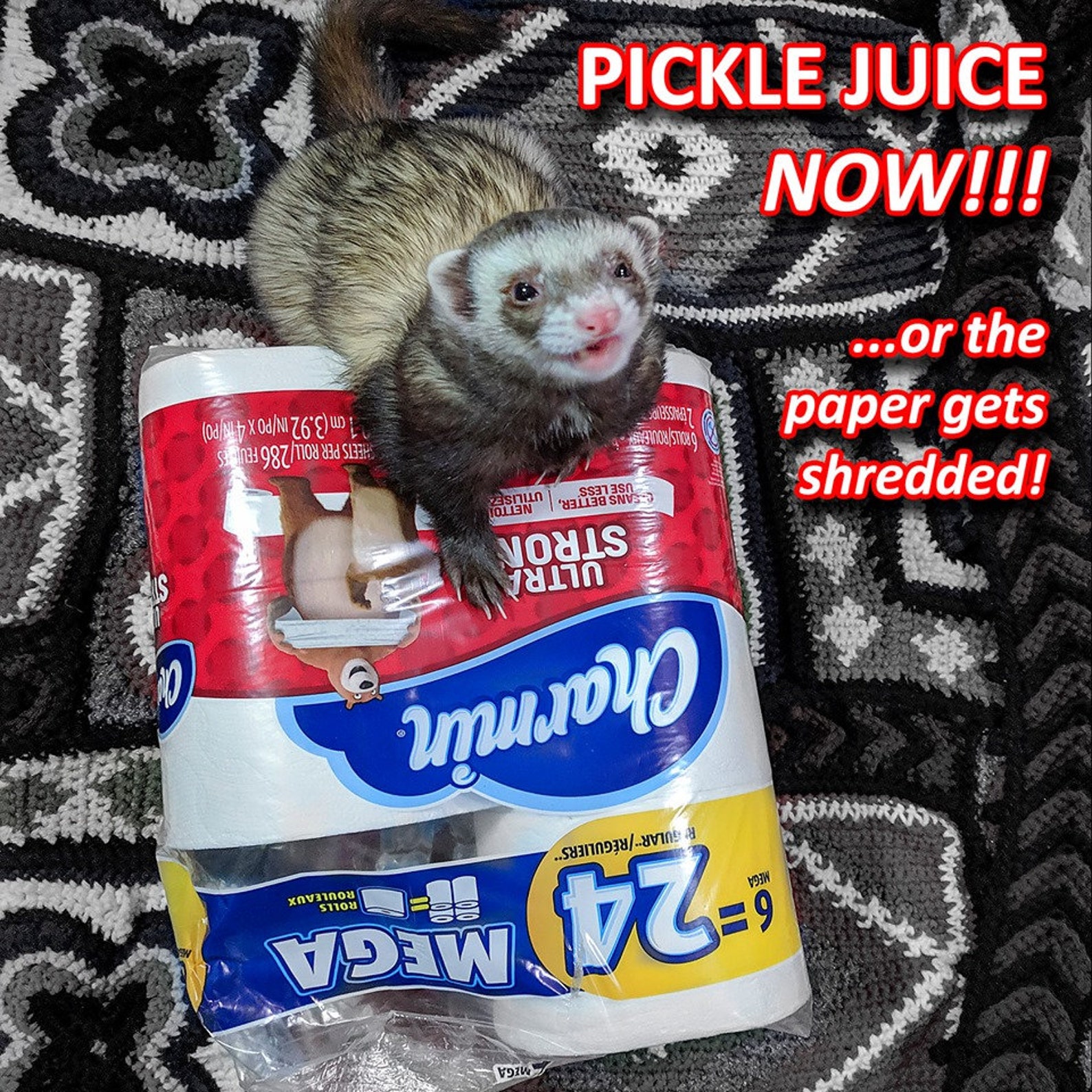 8 Oz Pickle Juice Ferret Treat Oil Training Aid 240ml 160 Etsy