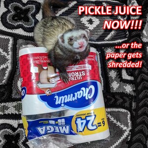 Puede incluir: Un hur&oacute;n sentado en un rollo de papel higi&eacute;nico Charmin. El texto en el papel higi&eacute;nico dice "Charmin", "Ultra Strong", "9=24", "Mega", "Regular/Reguliers", y "Sheets per roll/286 Feuilles 2.1 cm (3.92 in/po x 4/po)". El texto sobre el hur&oacute;n dice "PICKLE JUICE NOW!!! ...or the paper gets shredded!"
