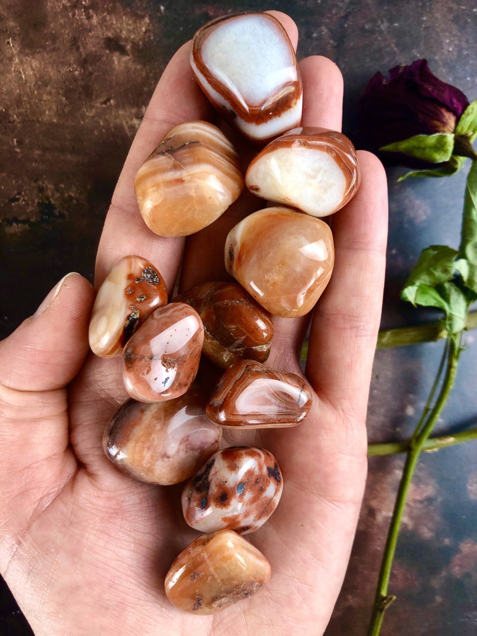 Red Sardonyx Crystal / Sardonyx Tumble Stone / Sardonyx | Etsy