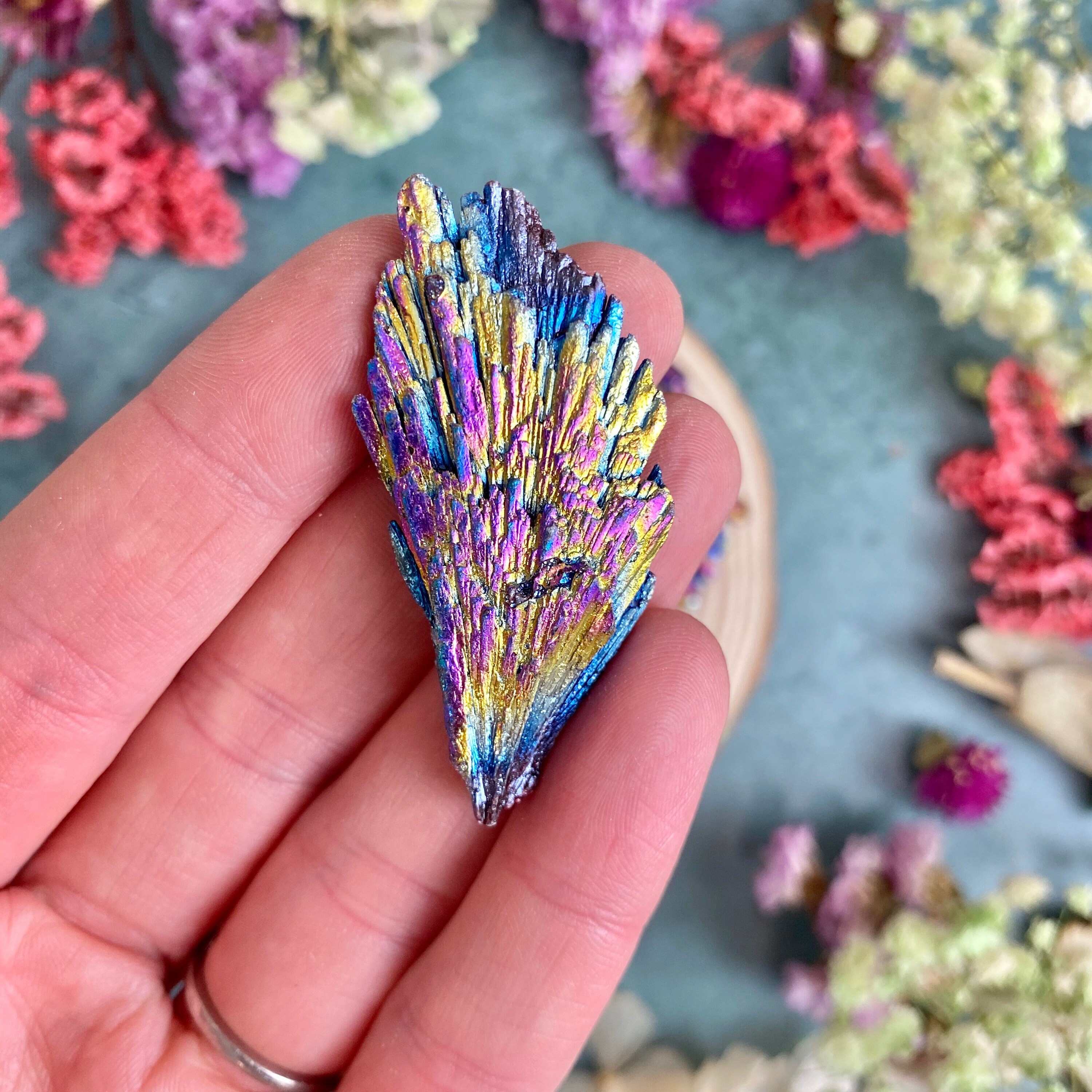 Peacock Kyanite Crystal / Rainbow Kyanite Specimen / Rainbow Etsy