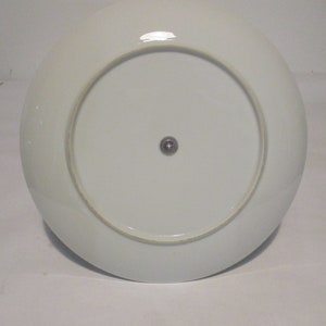 May include: The underside of a white ceramic plate with a small metal screw in the center.