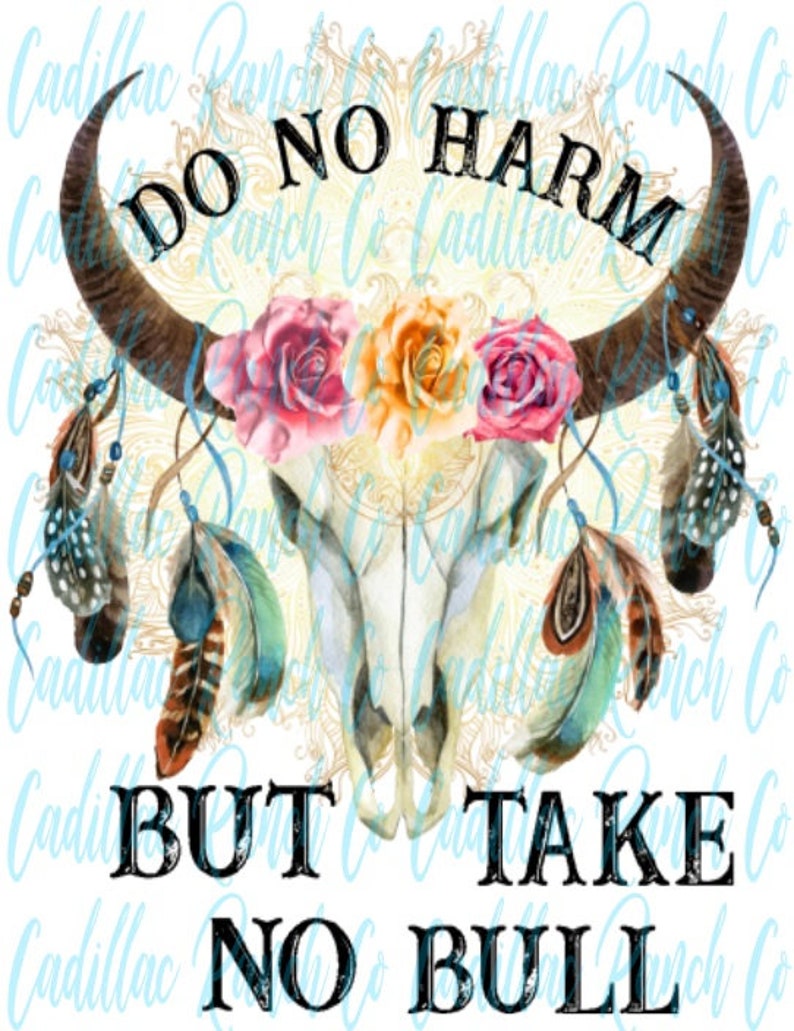 do no harm but take no bull