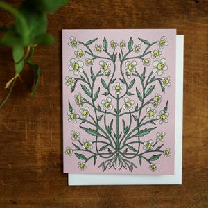 Kamillen-Karte – Handillustriertes Blumenmuster – Rosa Kamillen-Karte – A2 Blanko-Grußkarte – Naturinspiriertes Briefpapier – Allzweckkarte