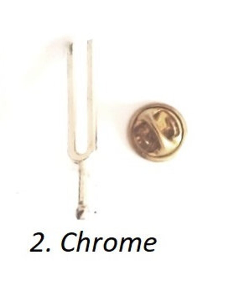 Puede incluir: Un pin de diapas&oacute;n plateado con un respaldo de pin redondo de color dorado. El pin es un accesorio de m&uacute;sica popular.