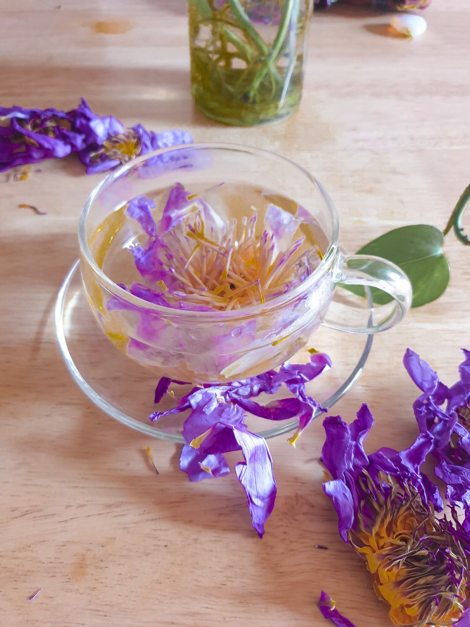 Blue Lotus Tea Aphrodisiac Tea Antioxidant Tea Blue Etsy Canada