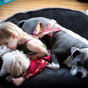 May include: A toddler wearing a green and red patterned romper with tie straps, resting on a large, round, dark grey textured dog bed alongside a small white fluffy dog and a larger grey and white dog lying down in a relaxed position.