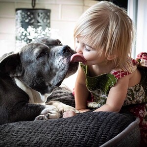 May include: A short-haired child with blonde hair wearing a sleeveless green and red patterned dress, leaning in to touch noses with a large, dark grey and white dog with short fur. The dog has a visible pink tongue and is resting on a dark textured surface.