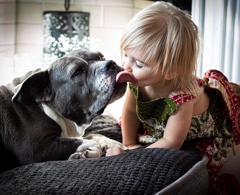 May include: A short-haired child with blonde hair wearing a sleeveless green and red patterned dress, leaning in to touch noses with a large, dark grey and white dog with short fur. The dog has a visible pink tongue and is resting on a dark textured surface.