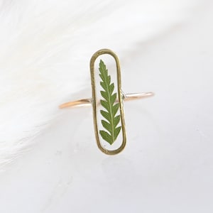 Anello di felce, Anello di fiori reali, Anello di foglie pressate, Anello di felce essiccata, Gioielli in resina, Anello vegetale, Anello grosso, Gioielli botanici, Anello naturale