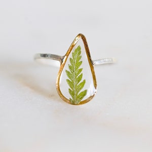 Sebas Dainty Fern Ring, Silver Plant Resin Ring, Green Fern Ring, Leaf Ring, Botanical Jewelry, Silver Statement Ring, Dried Fern Jewelry 画像 1