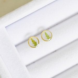 Dried Fern Earrings, Round Resin Studs, Real Fern Studs, Handmade Minimalist Jewelry, Gold Circle Studs, Hippie Jewelry, Mental Gardens