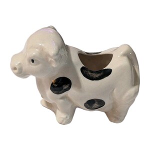 May include: A ceramic creamer shaped like a cow with a glossy off-white finish and irregular black spots. The vessel features a wide opening on the back for pouring, a sculpted head with defined facial features, and a sturdy four-legged base.