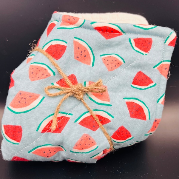 Watermelon Bowl Cozies